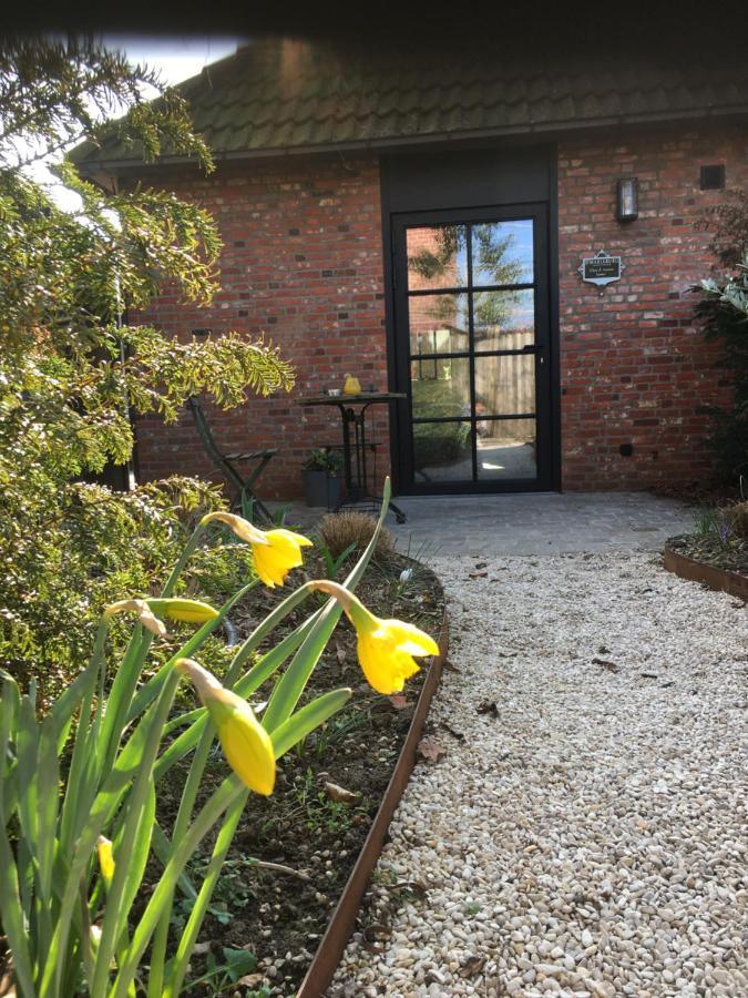 B&B Sint-Mariaburg Antwerpen Kültér fotó