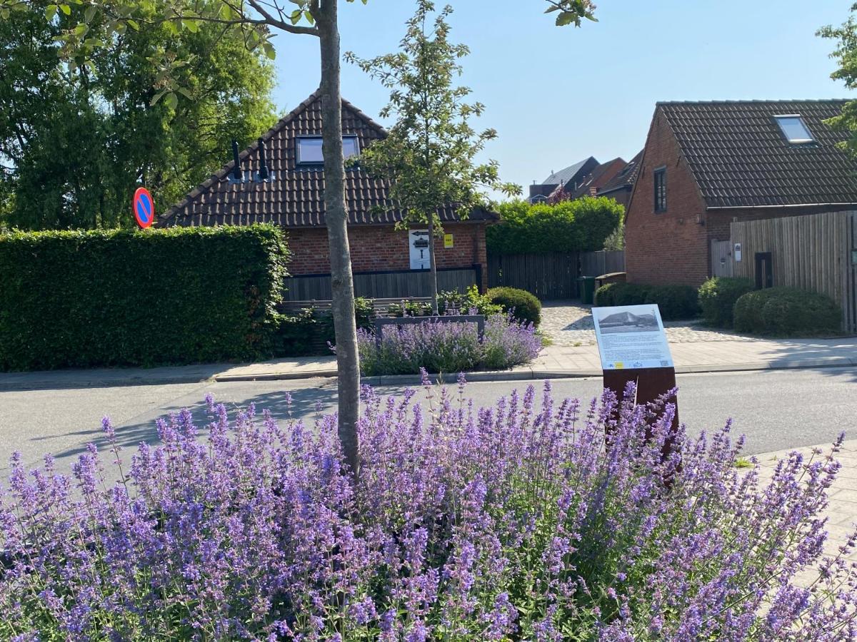 B&B Sint-Mariaburg Antwerpen Kültér fotó